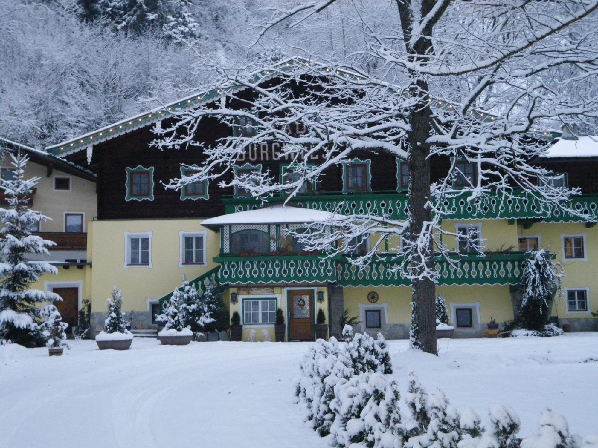 Pension Heilbad Burgwies Штульфельден Экстерьер фото